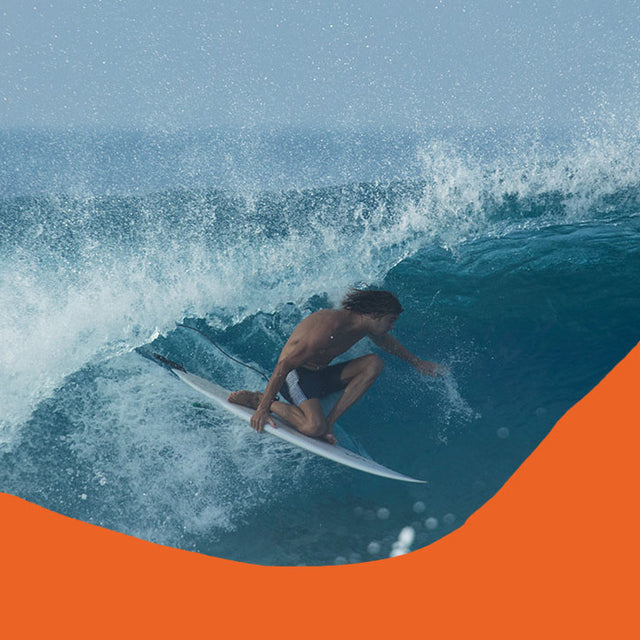 Self Discovery for Social Survival