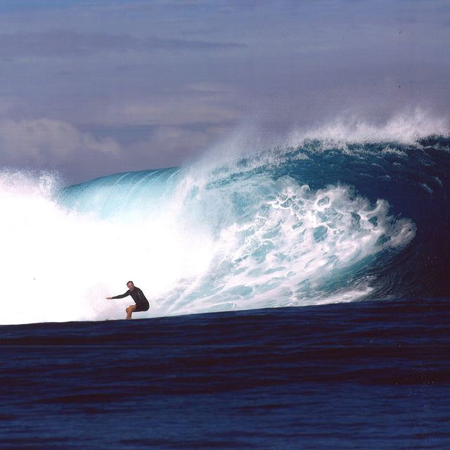 William Finnegan's Barbarian Days