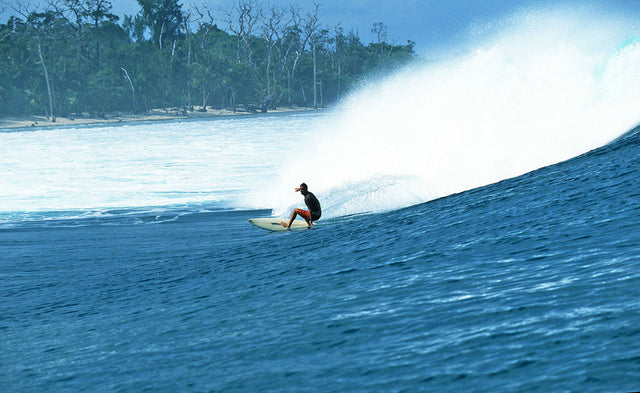 Matt Warshaw’s History of Surfing