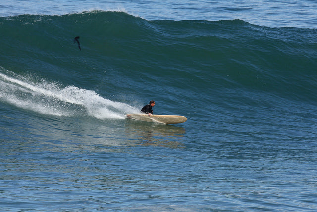 The Big Sleep, Observations And Articulations With Richard Kenvin