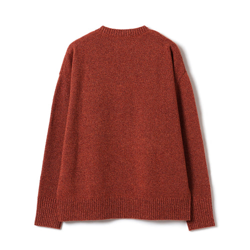 Aster Octa Crewneck