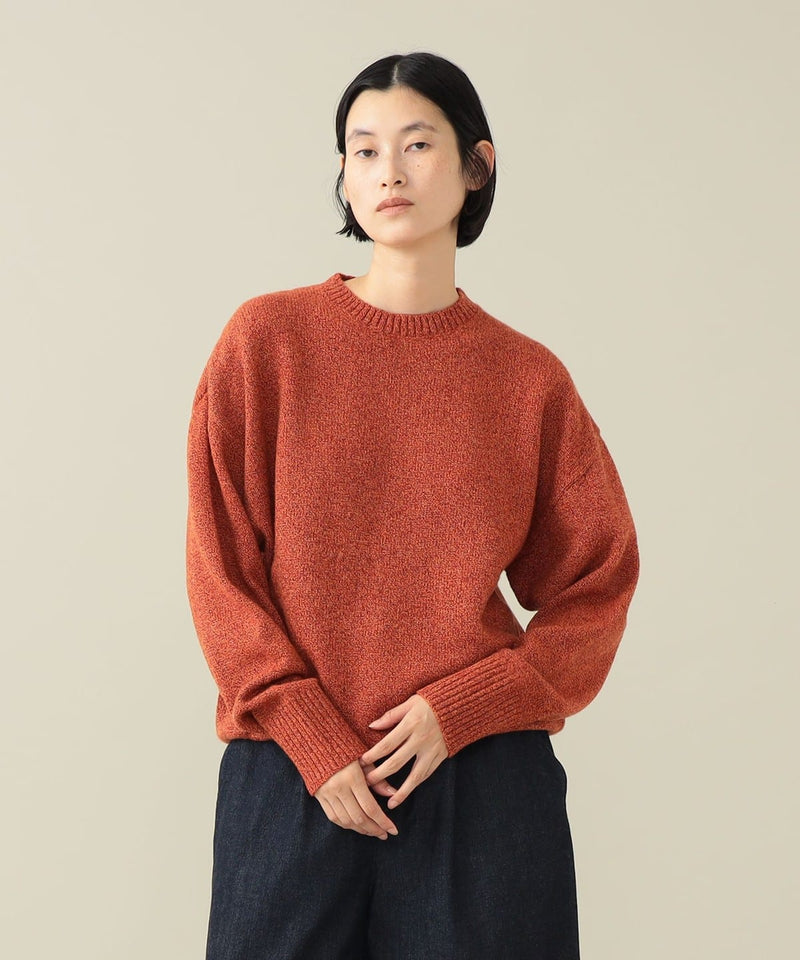 Aster Octa Crewneck