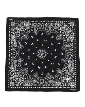  Paisley Bandana 