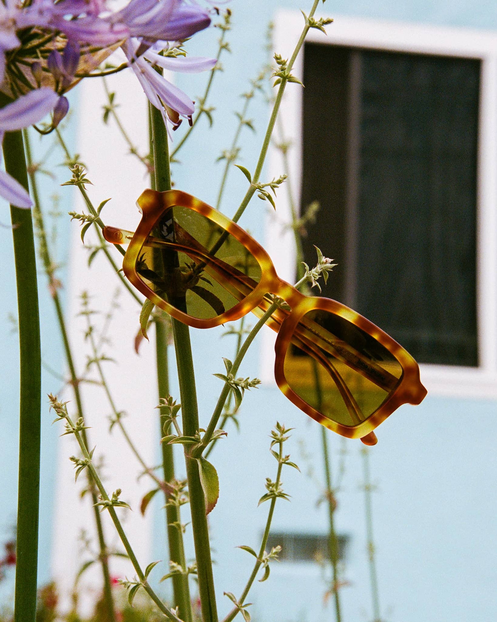 Heavy Tropix Sunglasses