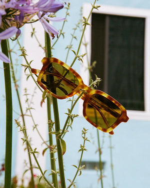 Heavy Tropix Sunglasses 