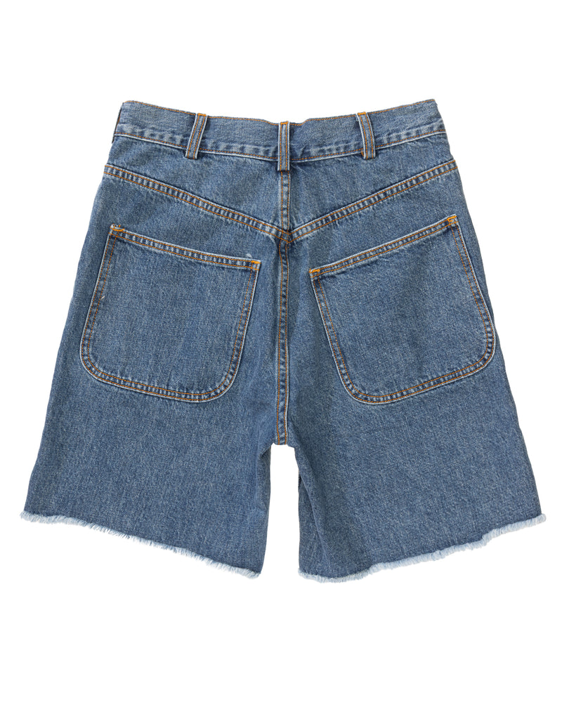 Lake Shorts