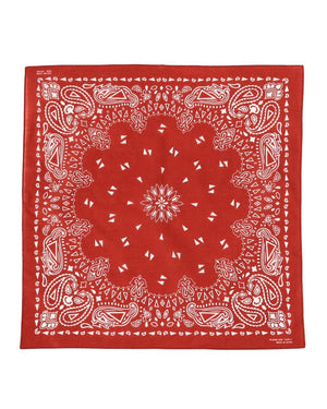  Paisley Bandana 