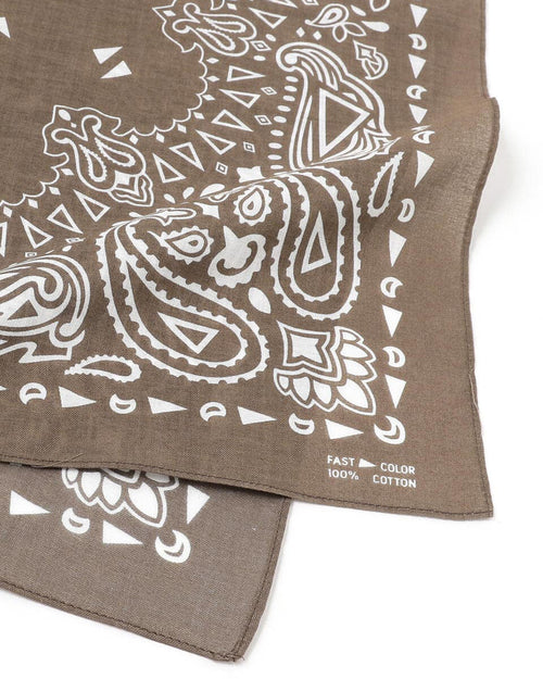 Paisley Bandana