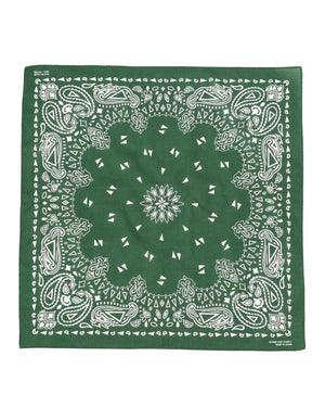  Paisley Bandana 