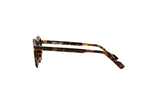  Waimea Sunglasses 
