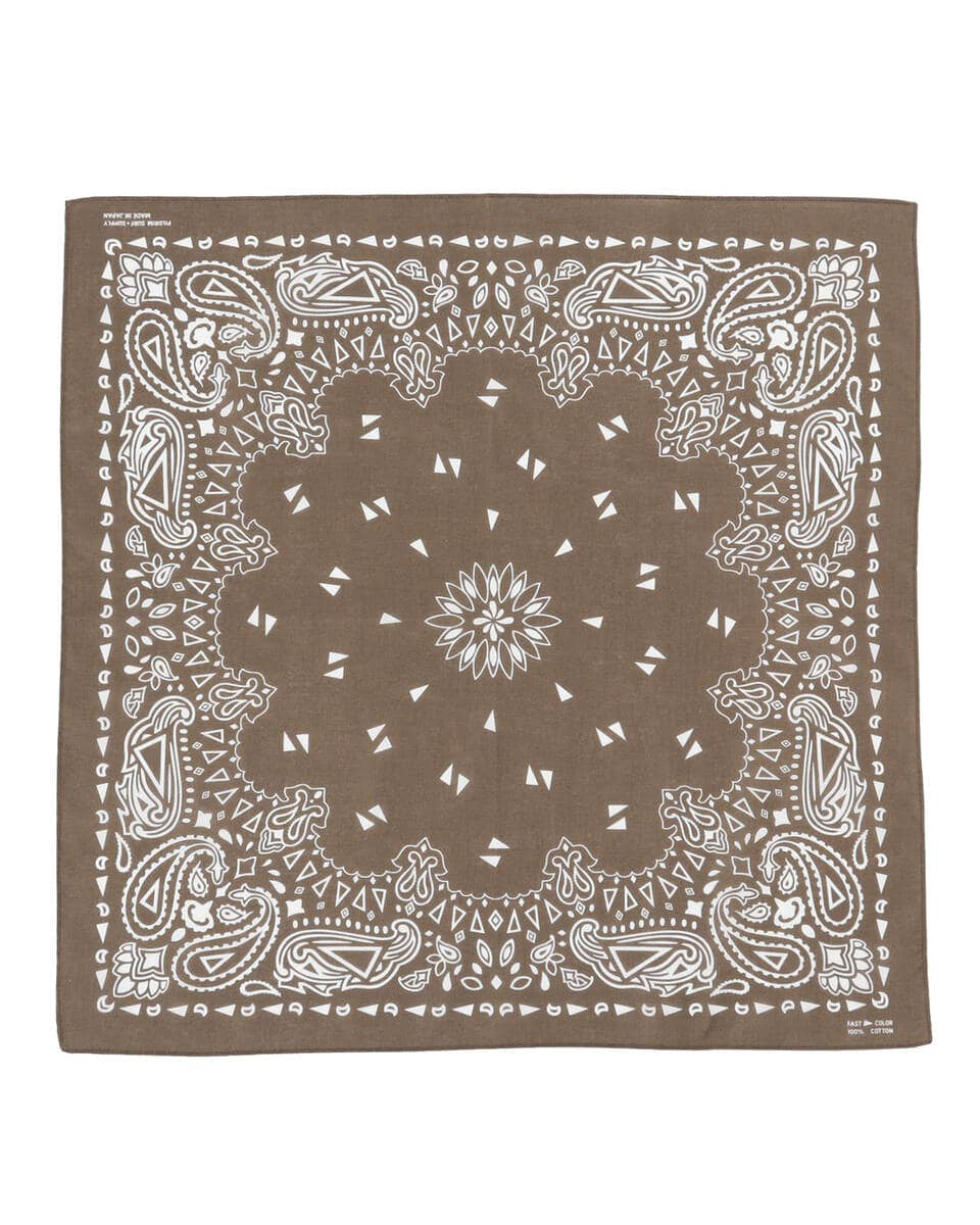 Paisley Bandana