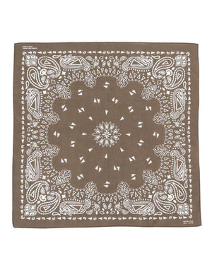  Paisley Bandana 