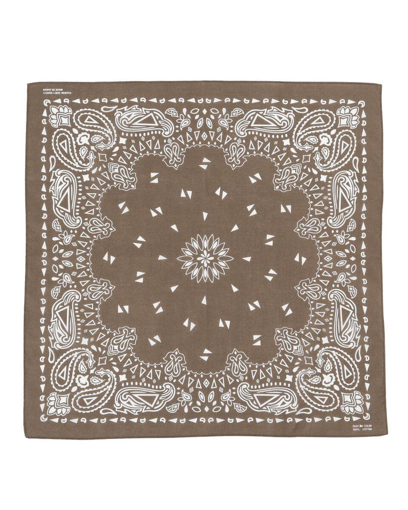 Paisley Bandana