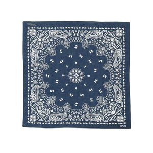  Paisley Bandana 